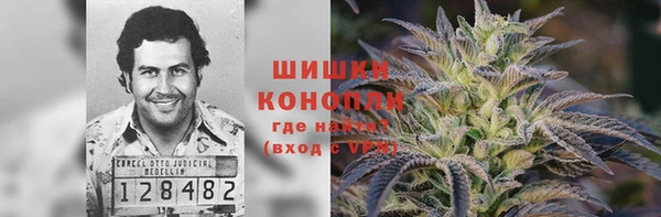 индика Магас