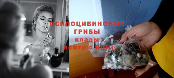 индика Магас